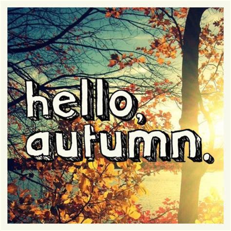 20 Happy Fall Quotes | Hello autumn, Autumn quotes, Happy fall quotes