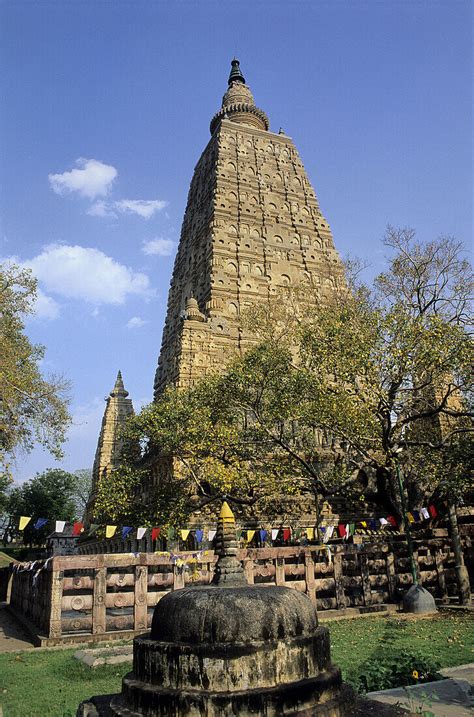 BODHI TREE AND MAHABODHI TEMPLE, … – License image – 70255811 Image ...