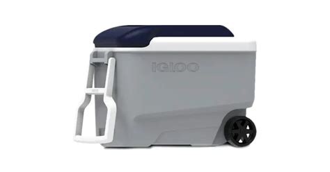 Igloo Cooler with Wheels - Full Review (2021) - Travel Savvy Guide