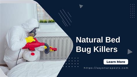 Natural Bed Bug Killers: Proven Tips & Tricks Everyone Should Know