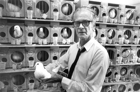 B.F. Skinner with his laboratory pigeons, c. 1965 [1350x886] : r ...