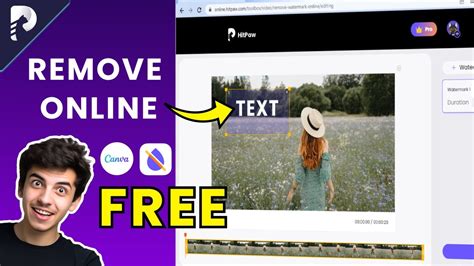 How To Remove Text From Videos Without Blur Online Free