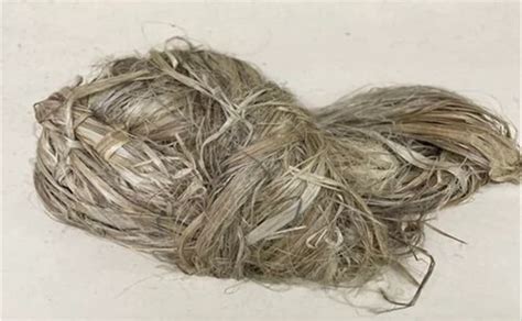 Raw Hemp Fiber At ₹ 250kg Hemp Fibers In New Delhi Id 2853226297112