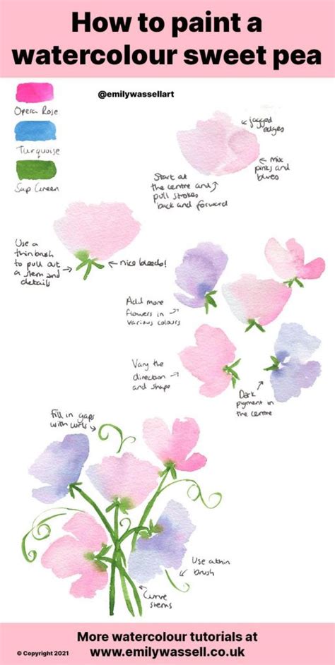 Watercolour Tutorial How To Paint Sweet Pea Flowers Emily Wassell