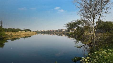 Forest Dept Completes Biodiversity Assessment Of Najafgarh Lake