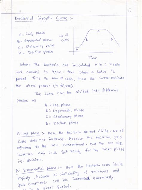 Bacterial Growth Curve | PDF