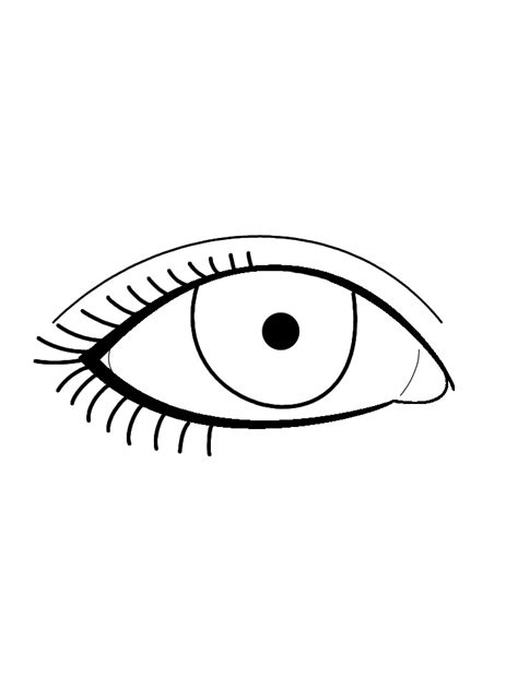 Eye Line Art - Cliparts.co