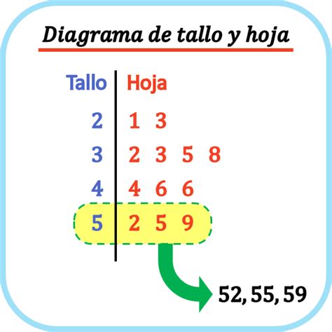 Que Es Un Diagrama De Tallo Y Hoja Ejemplos Ejemplo Interesante Site