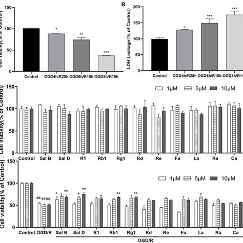 Sal B Sal D R Rb And Rg Increased The Cell Viability Of Mbvp