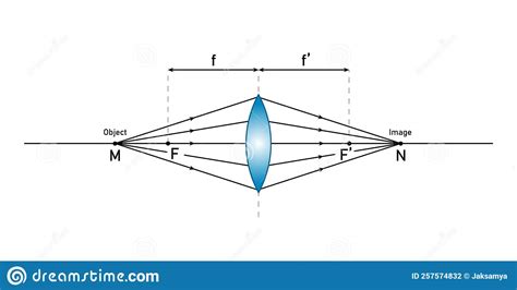 Convex Lens Schematic Diagram in Optics Physics. Stock Vector ...