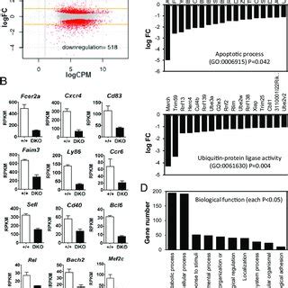 Identification Of Irf Pu Binding Targets By Chip Seq Analysis A