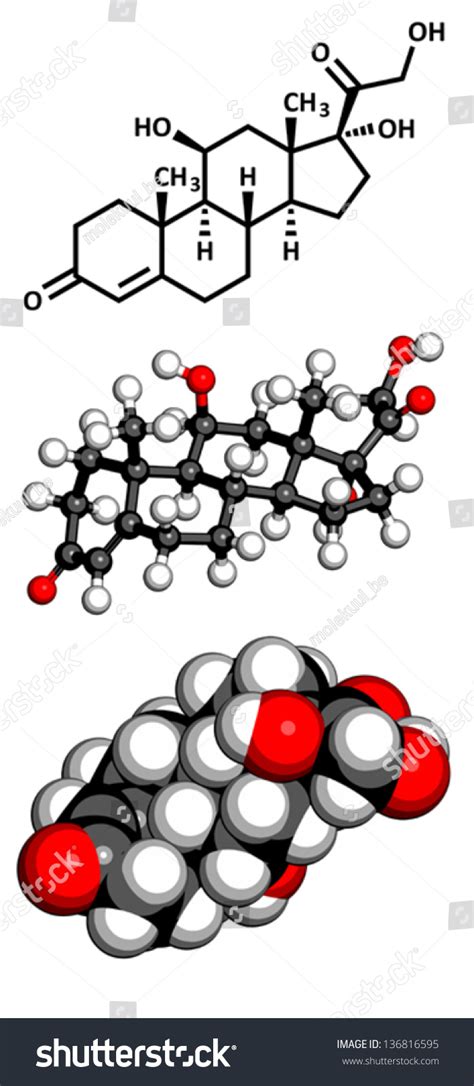 Cortisol Hydrocortisone Stress Hormone Molecular Model Stock Vector