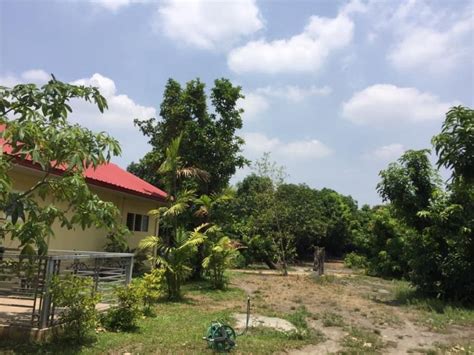 Farm Lot For Sale Arayat Pampanga With Full Grown Mango Trees