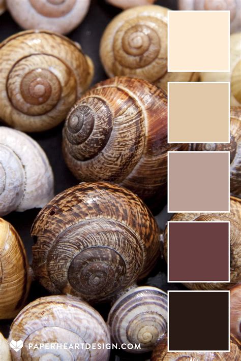 Neutral Color Palette: She Sells Sea Shells