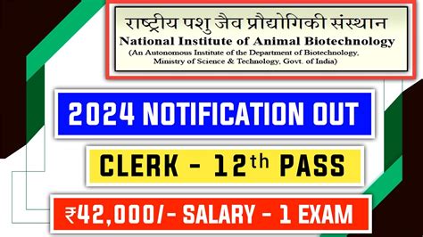 NIAB Clerk 2024 Notification Out YouTube