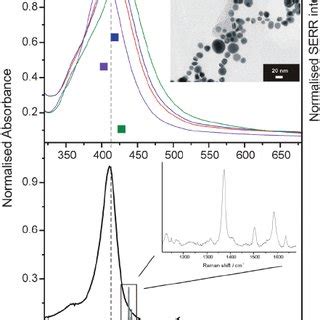 A RR Spectrum Of Cyt C In Solution 20 MM Compared With The SERR