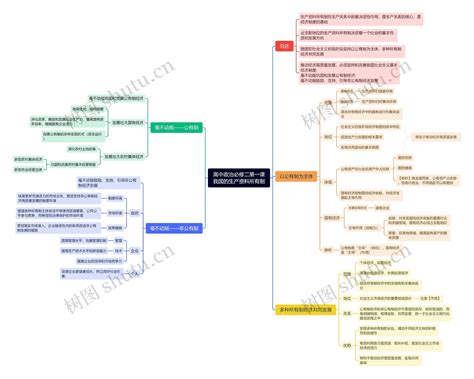 高中政治必修二第一课——我国的生产资料所有制思维导图编号x5558111 Treemind树图