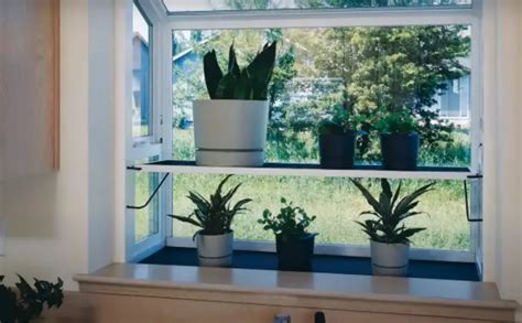 Garden Window Ideas - GardenProfy