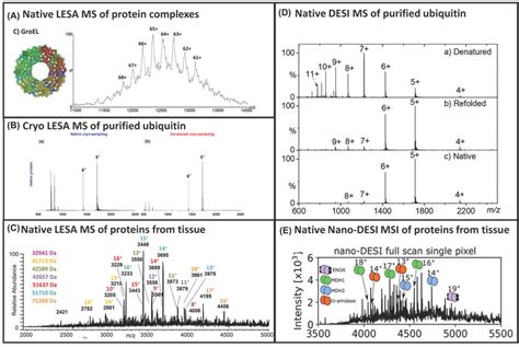 Native Ms Of Intact Proteins And Complexes A Native Lesa Of Protein