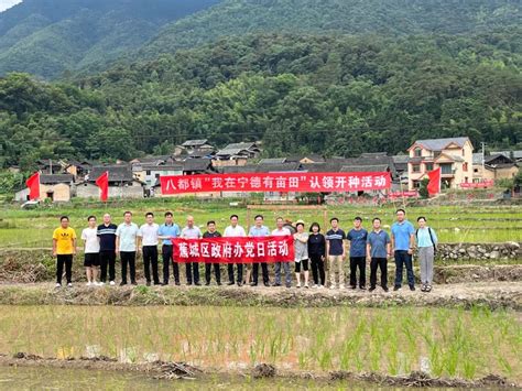 “我在宁德有亩田” “主题党日”搬到田间地头！八都洋头再“披绿”→大梦蕉城宁德蕉城在线