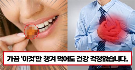 혈관 청소 도와주는 좋은 음식 9가지 최신 정보 오늘 전할 이야기