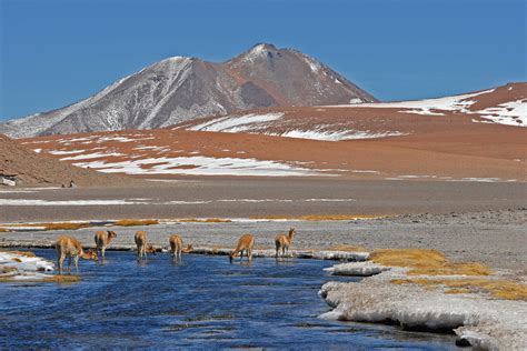 Exploring CHILE: A Comprehensive Chile Travel Guide