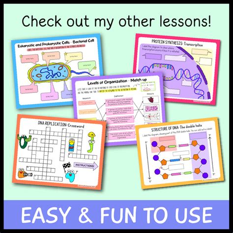 Cell Cycle Google Slides Emmatheteachie