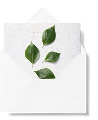 Cartes Merci Planter Personnalisables Papierfleur