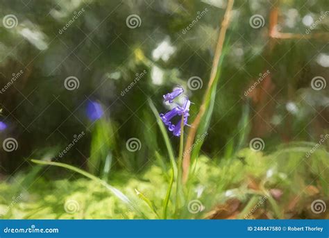 Pintura Digital De Flores De Azul Violeta Y De Colores Brillantes Sobre