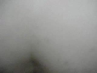 Comendo De Quatro Brazilian Amateur Amateur Porn XHamster