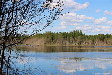 Discovering Wildlife At Elk Island National Park In Alberta World