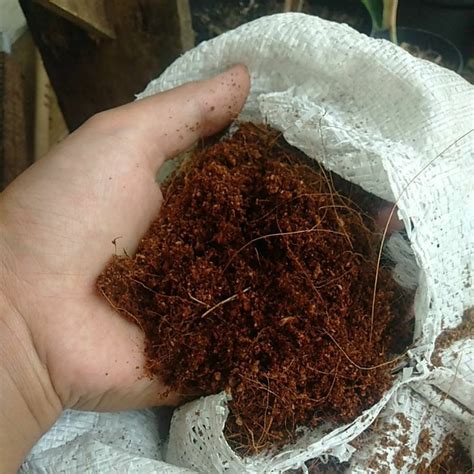 Jual Media Tanam Cocopeat Kg Shopee Indonesia