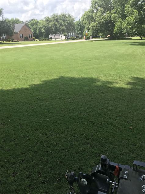 Gallery | Check Out Some of the Beautiful Lawns We Service | Liquid Lawn