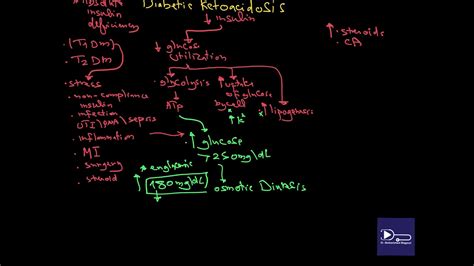 Diabetic Ketoacidosis Dka Pathophysiology And Diagnosis Diabetic