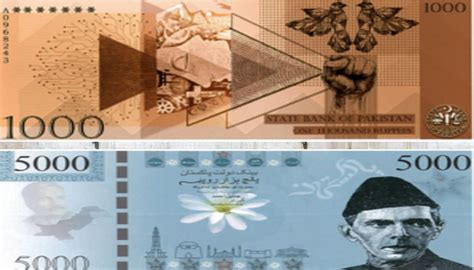 SBP reveals potential designs for new currency notes: Details inside ...