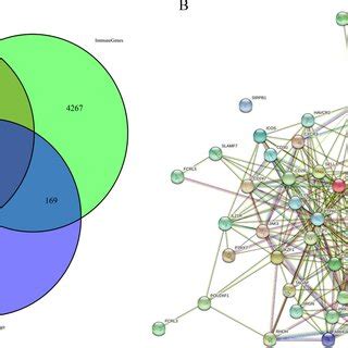 Identification Of The Overlapping Genes By Intersecting The Genes From