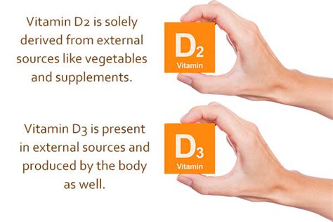 What Is The Difference Between Vitamin D2 And Vitamin D3 Meds Safety