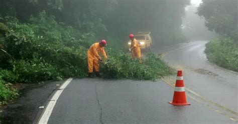 G1 Chuva provoca quedas de árvores e deslizamentos em Angra dos Reis