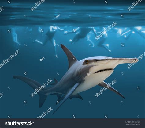 178 Shark Wound Images, Stock Photos & Vectors | Shutterstock