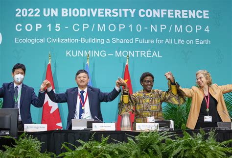 Cop15 Un Reaches Agreement To Save Biodiversity Impact Investor