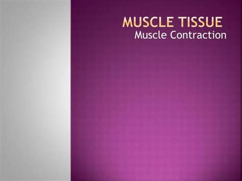 Ppt Muscle Tissue Powerpoint Presentation Free Download Id 2181859