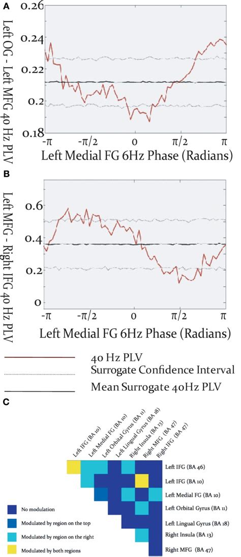 Modulation Of Inter Regional Gamma Band Synchronization By Theta Phase