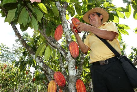 Exportaciones En 2017 Crecieron 21 8 Y Generaron Más De Un Millón De