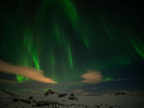 Desde Reikiavik Excursi N A La Aurora Boreal Con Cacao Caliente Y