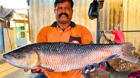 Kasimedu Cheetah Durai Red Kendai Fish Cutting Video In Kasimedu