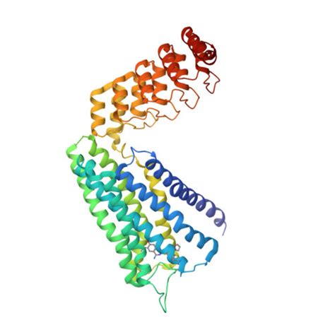 RCSB PDB 7B6W Crystal Structure Of The Human Alpha1B Adrenergic