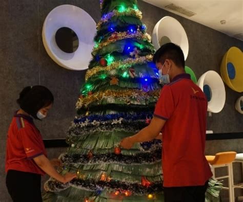 Kreasikan Pohon Natal Dari Kardus Bekas Menambah Suka Cita Natal