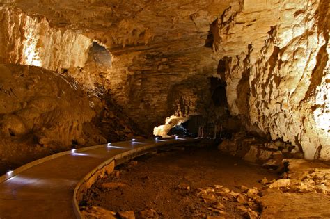 The Mystical Glow Worm Caves Of Waitomo, New Zealand