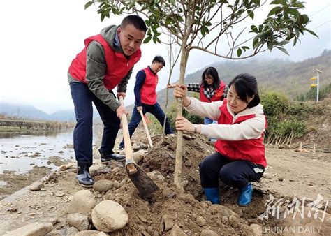 给乡村添新绿 资讯 新湖南