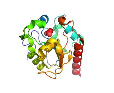 Uracil-DNA glycosylases — ITQB